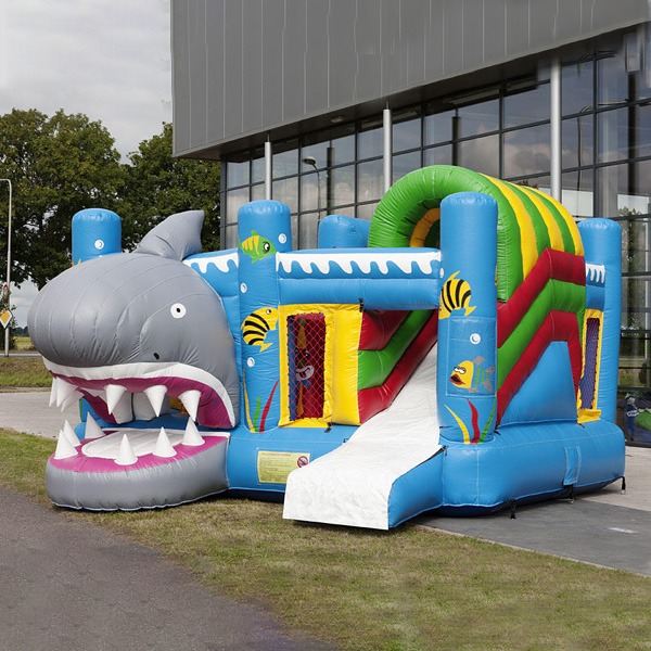 Springkussen dolfijn